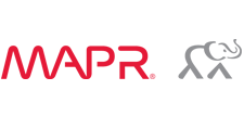 MapR_logoing