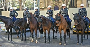 Mounted security and mounted first responders