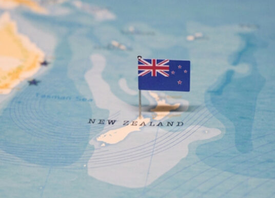 Intelligent Monitoring Group makes New Zealand Acquisition