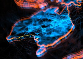 Two in three Australians worried about national security, ANU study finds